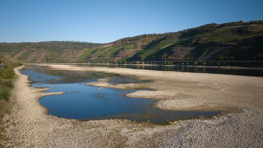 Riesige Sandbänke sind im Rhein bei Osterspai entstanden. Auch wenn es zuletzt geregnet hat, bleibt die Niedrigwasserlage vor al Riesige Sandbänke sind im Rhein bei Osterspai entstanden. Auch wenn es zuletzt geregnet hat, bleibt die Niedrigwasserlage vor al