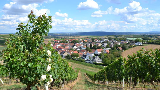 Tolle Ausblicke genießen und ganz tief eintauchen in die Weinwelt von Sommerloch, dazu besteht am Samstag und Sonntag reichlich Tolle Ausblicke genießen und ganz tief eintauchen in die Weinwelt von Sommerloch, dazu besteht am Samstag und Sonntag reichlich