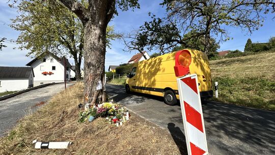 Warnbaken stehen vor und hinter dem Baum in der Hartenfelser Alleestraße, an dem am Wochenende, 22./23. August, ein Auto zersche Warnbaken stehen vor und hinter dem Baum in der Hartenfelser Alleestraße, an dem am Wochenende, 22./23. August, ein Auto zersche