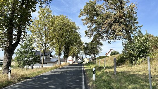 Viele schwere Unfälle haben sich an den Alleebäumen vor dem Ortsschild von Hartenfels schon ereignet. Zuletzt hat dort vor wenig Viele schwere Unfälle haben sich an den Alleebäumen vor dem Ortsschild von Hartenfels schon ereignet. Zuletzt hat dort vor wenig