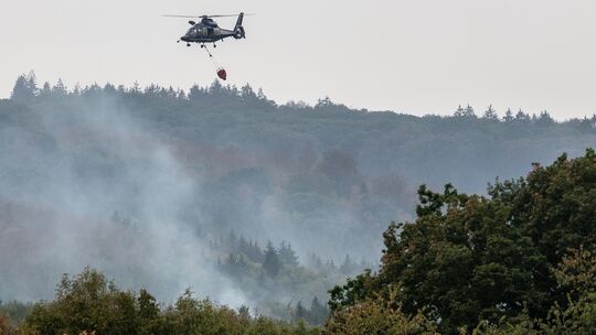 Der heiße und trockene Sommer hat Waldbrände begünstigt. Jüngst hat ein Großbrand im nordrhein-westfälischen Hürtgenwald für Auf Der heiße und trockene Sommer hat Waldbrände begünstigt. Jüngst hat ein Großbrand im nordrhein-westfälischen Hürtgenwald für Auf