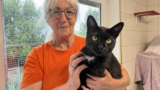 Kerstin Löbnitz, Vorsitzende des Vereins, kümmert sich mit ihrem Team um zahlreiche Katzen, sowie Hunde, Kaninchen und Ziegen. I Kerstin Löbnitz, Vorsitzende des Vereins, kümmert sich mit ihrem Team um zahlreiche Katzen, sowie Hunde, Kaninchen und Ziegen. I