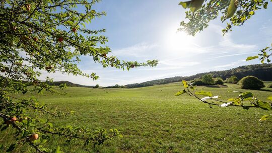 Wochenendwetter Wochenendwetter