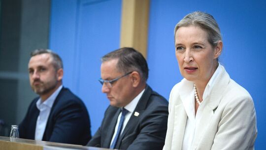 Nach der Landtagswahl in Sachsen-Anhalt - AfD Nach der Landtagswahl in Sachsen-Anhalt - AfD