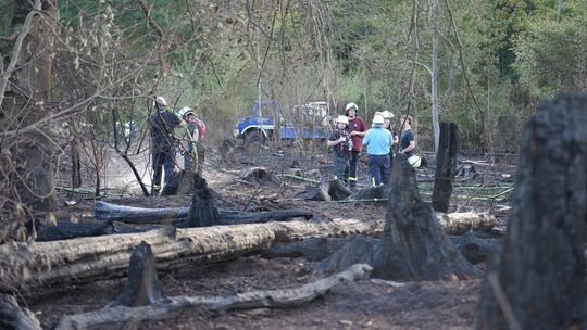 Waldbrand im Saarland Waldbrand im Saarland