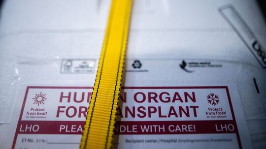 Organspende Organspende