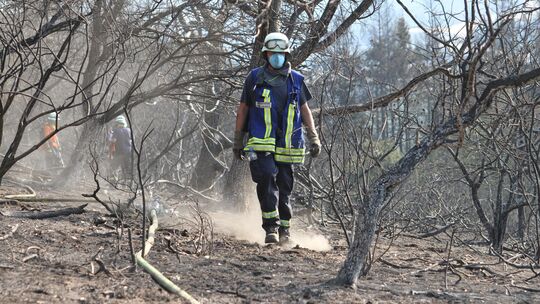 Bei Langscheid in der Vordereifel kam es Mitte August zu einem verheerenden Waldbrand, der viele Hektar Natur zerstörte. Das Feu Bei Langscheid in der Vordereifel kam es Mitte August zu einem verheerenden Waldbrand, der viele Hektar Natur zerstörte. Das Feu