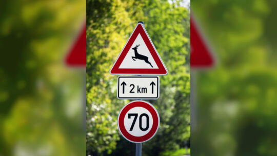 Verkehrsschild warnt vor Wildwechsel: Auf der L378 kam es zu einem schweren Unfall, als ein Motorradfahrer mit einem Reh kollidi Verkehrsschild warnt vor Wildwechsel: Auf der L378 kam es zu einem schweren Unfall, als ein Motorradfahrer mit einem Reh kollidi