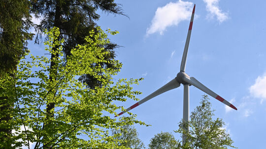 Die rheinland-pfälzischen Wälder – hier bei Buch im Rhein-Hunsrück-Kreis – bieten viel Platz für Windräder. Doch die Nutzung von Die rheinland-pfälzischen Wälder – hier bei Buch im Rhein-Hunsrück-Kreis – bieten viel Platz für Windräder. Doch die Nutzung von