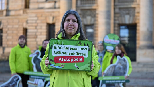 Der BUND Rheinland-Pfalz hat Verfassungsbeschwerde gegen das Urteil zum A1-Lückenschluss in der Eifel eingereicht. Die Landesvor Der BUND Rheinland-Pfalz hat Verfassungsbeschwerde gegen das Urteil zum A1-Lückenschluss in der Eifel eingereicht. Die Landesvor