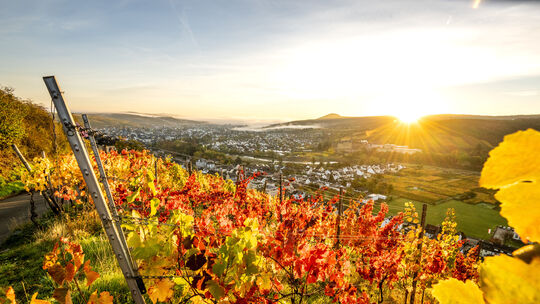 Der Herbst lässt die Weinhänge im Ahrtal jedes Jahr aufs Neue in zahlreichen Farbnuancen von strahlendem Gelb bis hin zu tiefrot Der Herbst lässt die Weinhänge im Ahrtal jedes Jahr aufs Neue in zahlreichen Farbnuancen von strahlendem Gelb bis hin zu tiefrot