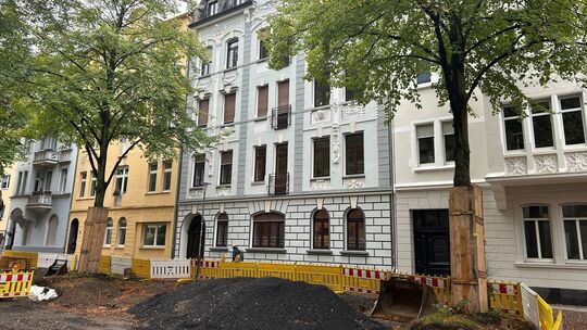 Zwei Linden am St.-Josef-Platz in Koblenz müssen vielleicht am Montag gefällt werden. Zwei Linden am St.-Josef-Platz in Koblenz müssen vielleicht am Montag gefällt werden.