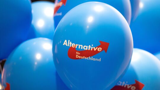 Der Ex-AfD-Landtagsabgeordnete Benjamin Haupt wurde aus der Partei sowie der AfD-Fraktion geworfen, wie vor ein paar Wochen beka Der Ex-AfD-Landtagsabgeordnete Benjamin Haupt wurde aus der Partei sowie der AfD-Fraktion geworfen, wie vor ein paar Wochen beka