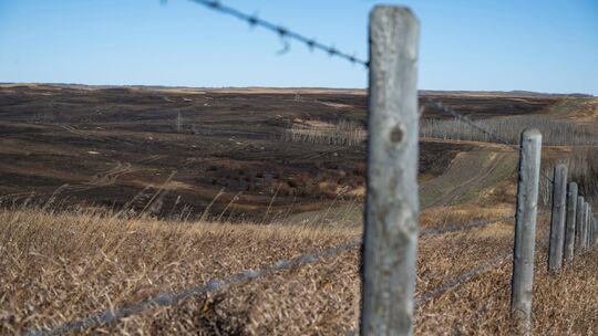 Vier Tote durch Feuer auf Militärbasis in Kanada Vier Tote durch Feuer auf Militärbasis in Kanada