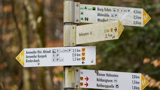 Wanderwege im Pfälzerwald Wanderwege im Pfälzerwald