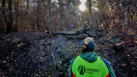 Nach dem Waldbrand im Enderttal Nach dem Waldbrand im Enderttal