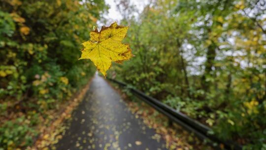 Wetter Wetter