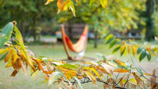 Herbst im Saarland Herbst im Saarland