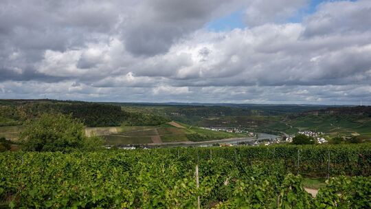 Wetter in Rheinland-Pfalz Wetter in Rheinland-Pfalz