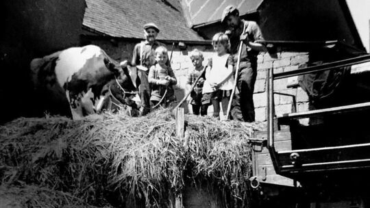 Das Foto zeigt Inge Arenz Onkel Toni mit seinen Enkeln und der Kuh. So wurde in früheren Zeiten Silage für das Winterfutter gema Das Foto zeigt Inge Arenz Onkel Toni mit seinen Enkeln und der Kuh. So wurde in früheren Zeiten Silage für das Winterfutter gema