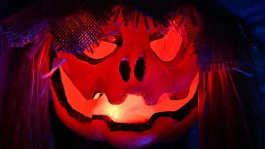 Halloween Halloween