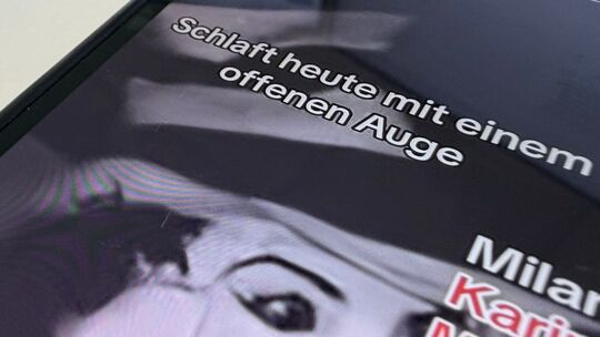 Video der Horror-Katze Video der Horror-Katze