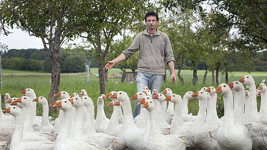 Öko-Bauernhof ist Ort mit offenem Tor